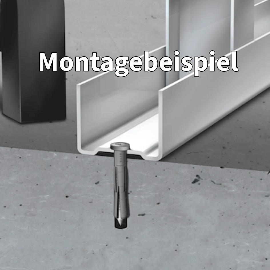 Nageldübel Würth SK Master 3 - Holz-Gehlen24 Nageldübel Würth SK Master 3