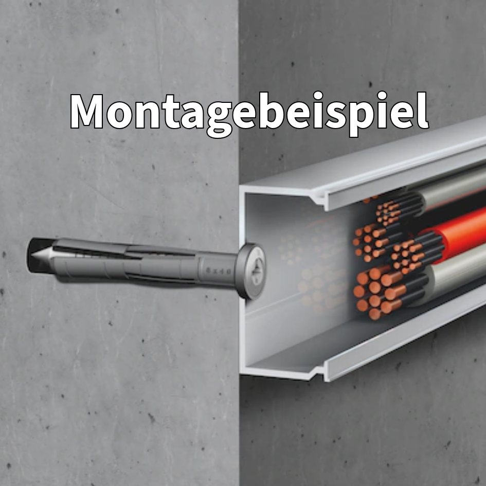 Nageldübel Würth SK Master 4 - Holz-Gehlen24 Nageldübel Würth SK Master 4